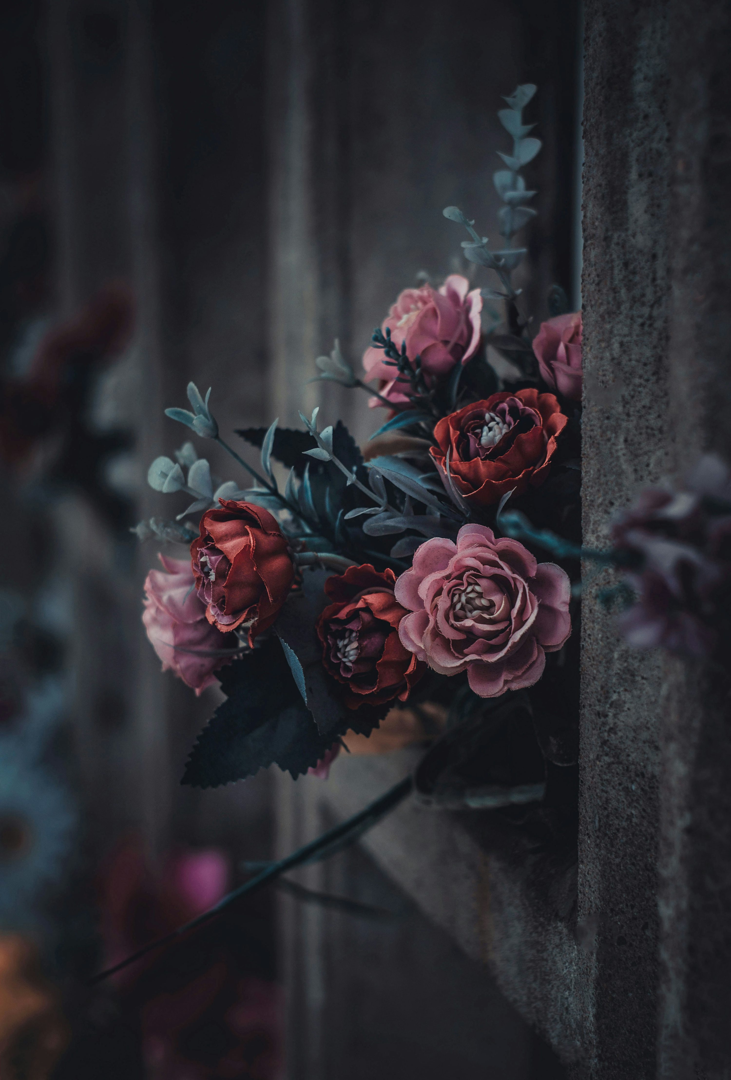 nature and roses